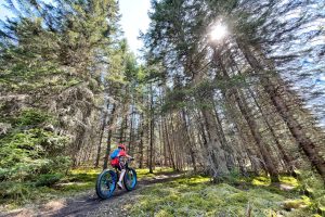 دوچرخه سواری در جنگل‌