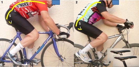 فرم صحیح نشستن روی دوچرخه