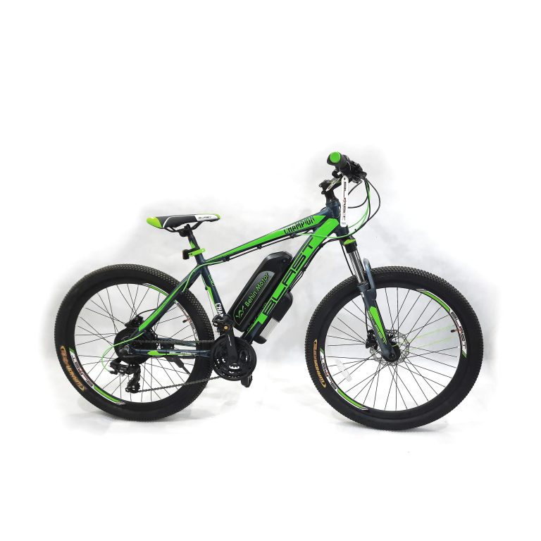 بلست چمپیون سبز - 1