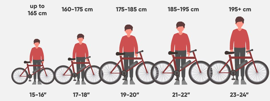 تناسب قد کودک با سایز دوچرخه