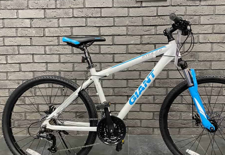 دوچرخه جاینت